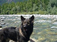 Ki-Shani